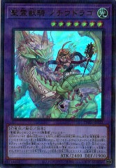 [TW01]õ Υɥ饴(ȥѥ쥢)TW01-JP123