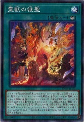 [TW01]äη(Ρޥѥ)TW01-JP125