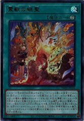 [TW01]äη(ȥ쥢)TW01-JP125