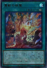 [TW01]äη(ȥѥ쥢)TW01-JP125