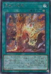 [TW01]äη(åȥѥ쥢)TW01-JP125