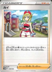 [SVHM]No mark038/053