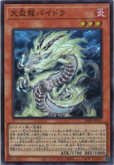 遊戯王【天盃龍】スリーブ Amazon.co.jp: EATOS ミニサイズ カードスリーブ 『遊戯 天盃龍