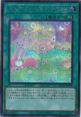 [QCCU]եΤ(åȥ쥢)QCCU-JP179