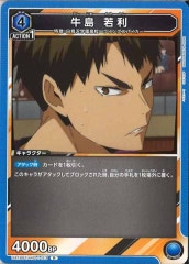 [UA19-ST] RUA19ST/HIQ-1-113