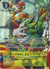 [ST-18]ե롦ȥ졼˥󥰡ʥѥˡPP-105(illust:YAMURETSU)