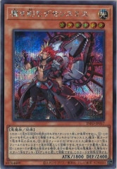 [YINFO]ǥ󥹥ߥ(åȥ쥢)INFO-JP017