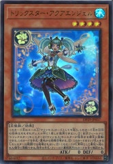 [DP29]ȥå󥸥(ȥ쥢)DP29-JP037