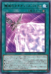 [DP29]ǤΥ󡦥ѥ(쥢)DP29-JP005