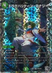 [DM24-RP2]ɥ饰ϥꥱ󡦥ʥʶȥ쥸㡼(ѡ쥢)TR7/TR11