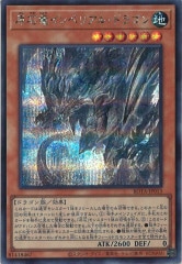 [ROTA]εڥꥢ롦ɥ饴(åȥ쥢)ROTA-JP013