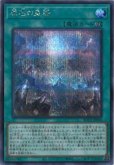 [ROTA]Фι̮(åȥ쥢)ROTA-JP058