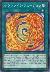 [WPP5]ޥɥ顦ե塼(Ρޥ)WPP5-JP007