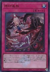 [CF01](ȥ쥢)CF01-JP097