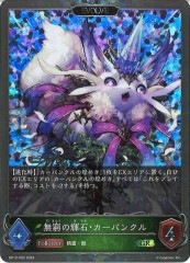 [BP12]̵εСХ󥯥(EVOLVE)GRPBP12-P02