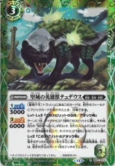 [BS_BS-71]αͺåƥǥ(SECRET)ڥ쥢<11>BS71-024