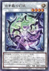 白き森 カードセット 白き森 - 遊戯王カード/YuGiOhTCG トレカ