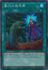 [QCAC]λ̾(ѡ쥢)QCAC-JP015