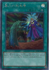 [QCAC]λ̾(åȥ쥢)QCAC-JP015