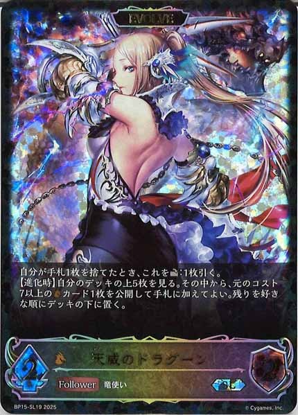 PSA10 シャドウバース SL ジャンヌダルク PSA10 シャドウバース SL ジャンヌダルク Amazon.co.jp