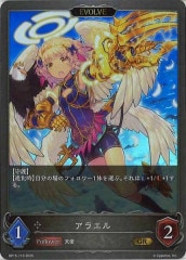 [BP15]饨(EVOLVE)GRBP15-116