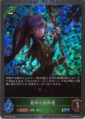 [BP15]̿οҼԡSRPBP15-P02