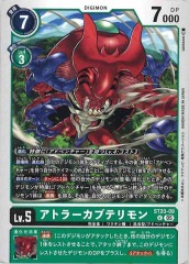 [ST-20]ȥ顼֥ƥUST20-09