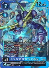 [ST-21]᥿륬ACESRST21-11