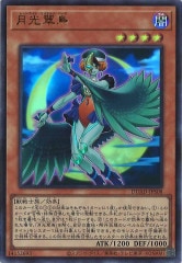 [DUAD]Ļ(ȥ쥢)DUAD-JPS08