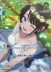 [hBP04]ХSRhBP04-071