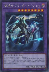 [TTP1]εΥ֥åޥ(åȥ쥢)TTP1-JP013