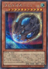 トレカ デュエル・マスターズ DMART-11-1 龍世界 ドラゴ大王 ビクトリーレア 楽天市場】デュエルマスターズ DMART11 1/5 龍世界 ドラゴ大王
