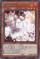 [TTP1]ή(쥢)TTP1-JP078