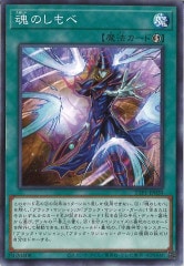 [TTP1]Τ(Ρޥ)TTP1-JP020