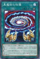 [TTP1]Ѥ뵷(Ρޥ)TTP1-JP021