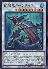 [24TP]εƥ(ѡ쥢)24TP-JP101