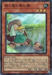 [24TP]ĤȲνղ(ѡѥ쥢)24TP-JP202