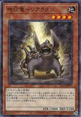 [24TP]ε-ꥢ(Ρޥѥ)24TP-JP503