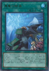 遊戯王　黒薔薇の破滅竜　プリズマティックシークレットレア　アジア 2枚 000000105138_krkdhGr.jpg