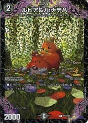 [PR-Y24]ԥ:ʥƥϡUCP13/Y24