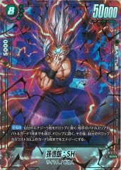 ストライカーパック　パラレル　4枚　c+ ストライカーパック パラレル 4枚 c+ PRO BLAZE サドルバッグ