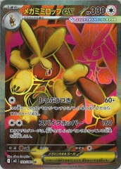 [M2]ᥬߥߥåexSR100/080