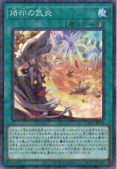 [CH01]ε(Ρޥѥ)CH01-JP024