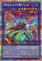 [BPRO]ݤʤηäβ(ץꥺޥƥååȥ쥢)BPRO-JP035