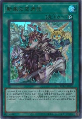 [BPRO]ζ(ȥ쥢)BPRO-JPS09