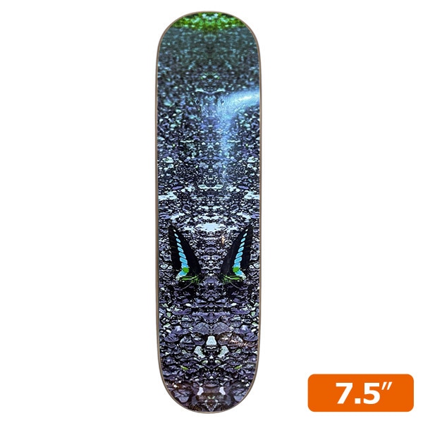 【CHUULIP】BUTTERFLY 7.5インチ　チューリップ スケートボード スケボー キッズデッキ キッズ SKATEBOARD DECK