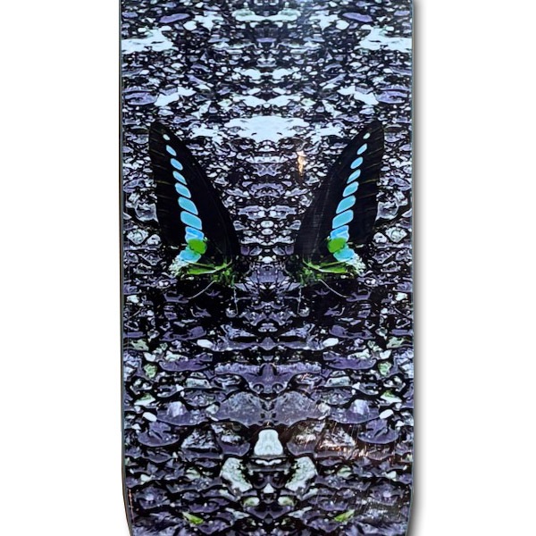【CHUULIP】BUTTERFLY 7.5インチ　チューリップ スケートボード スケボー キッズデッキ キッズ SKATEBOARD DECK