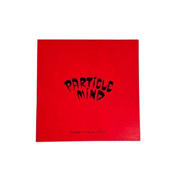 スケボービデオ 5BORO NYC STEVE BOLZ MERMAID PRO SERIES 8.0 8.125 8.25