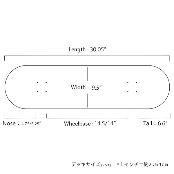 【SANTA CRUZ】Erick Winkowski VERTIGO 9.5インチ　サンタクルズ スケートボード スケボー SKATEBOARD