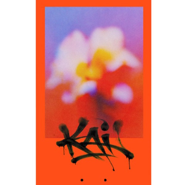 APRIL】Kai Kishi BLURRED 8.25インチ エイプリル デッキ スケート